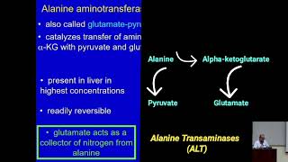 Catabolism of Amino Acids Role of Transaminases Metabolism Made Easy [upl. by Aihsoek942]