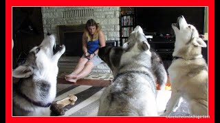 HOWLING HUSKIES  Last day of YouTuber Weekend [upl. by Bergmann79]