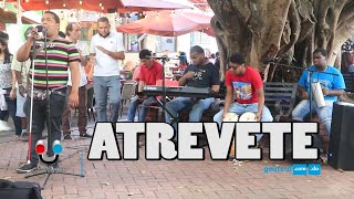 Atrévete Grupo musical integrado por jóvenes no videntes que se destaca en la Zona Colonial [upl. by Aiam]