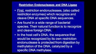 Molecular lab  Recombinant DNA [upl. by Yreved254]