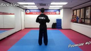 Taekwondo  Poomsae 0 Unofficial Slowmotion amp Mirror [upl. by Harding]