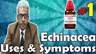 Echinacea Part 1  Uses and Symptoms in Homeopathy by Dr PS Tiwari [upl. by Ailedua746]