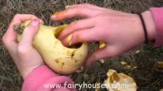 Making a Fairy House from a Gourd [upl. by Eadrahc]