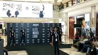 Max Elite Model Look Audition Delhi Final Round 2018 [upl. by Nnahgem]