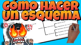 📚 Cómo HACER un ESQUEMA paso a paso [upl. by Naivat]