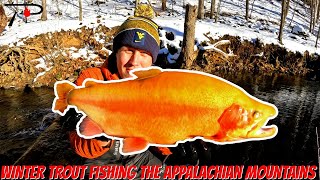 Winter Trout Fishing the Appalachian Mountains [upl. by Meurer95]