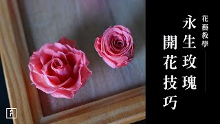 「永生玫瑰」一招放大兩倍，沒人敢教你這麼多｜花藝教學｜花裡 FORi Flower [upl. by Gav]