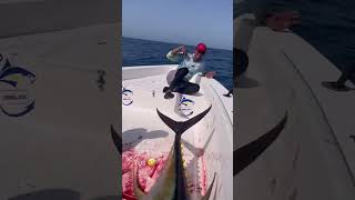 Giant Tuna shaking on the boat fishingtuna fishing shorts [upl. by Py577]