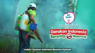 Gerakan Indonesia Berantas Nyamuk bersama MY BABY [upl. by Munshi]