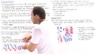 Quaternary Structure of Proteins [upl. by Tlok]