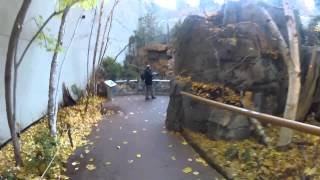 Montreal Biodome Walkthrough [upl. by Paugh]