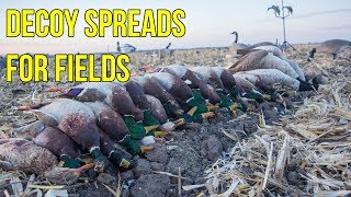 Field Decoy Spreads For Ducks amp Geese [upl. by Magdau892]