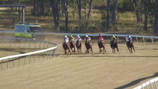 Gayndah 20240608 Race 4 [upl. by Sonstrom512]