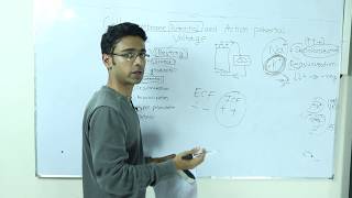 Action Potential part2 II Membrane transport II Physiology বাংলা [upl. by Nirred]