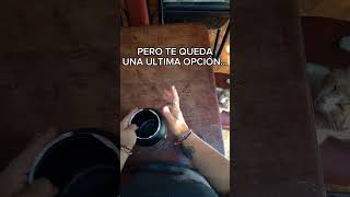 mucha proteina🤑 gym humor gymmotivation motivacion fy fypシ゚viral fyp gatos viralvideo [upl. by Accemahs584]