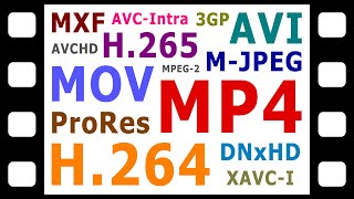 Explaining Digital Video Formats Codecs amp Containers [upl. by Rabka]