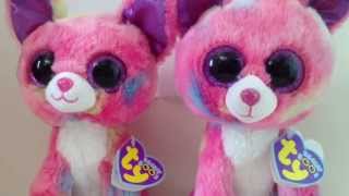 The Difference Between the Beanie Boos Duchess and Cancun [upl. by Janka]