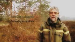 Forestier naturaliste à l’ONF un métier au service de la préservation de la biodiversité [upl. by Norrad]