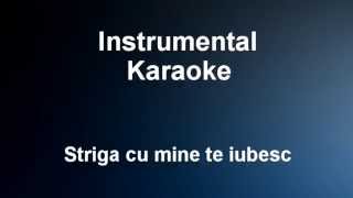 Striga cu mine te iubesc  Instrumental  Karaoke Ro  Vali Vijelie [upl. by Tra]