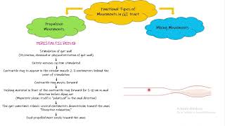 Functional types of movements in GastroIntestinal tract Chapter 63 6 Guyton and Hall Physiology [upl. by Idorb114]