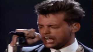 Luis Miguel  Alguien Como Tú HD  5 de 19  EL CONCIERTO [upl. by Hollerman]