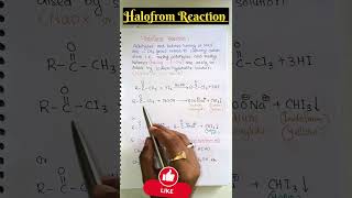 ❌ Halofrom Reaction 🔥🔥🔥 shorts neet iitjee jeemains boards viralshorts [upl. by Philina]