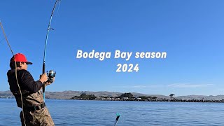 Bodega bay crabbing 2024 [upl. by Gwendolin]