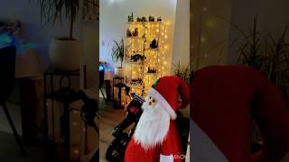 Christmas time Eerst nog Sinterklaas vieren trending shortfeed kerst viralshort kerstmis fyp [upl. by Babby784]