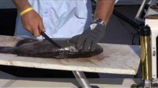 The BEST Way to Fillet Catfish [upl. by Lilithe958]