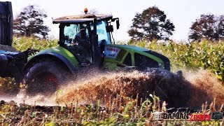 KOSZENIE KUKURYDZY 2017  AgroRent  4x Claas 2x Deutzfahr [upl. by Halona8]