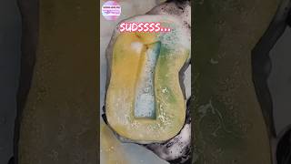 ASMR Super sudsy sponge squeezing ✨🤤✨🤤✨🤤 shorts spongesqueeze satisfying sponges [upl. by Inol369]