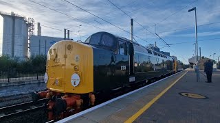 class 40 D213 andania pulling class 50 050 fearless through Warrington BQ [upl. by Atil]