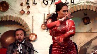 Sacromonte Flamenco in Granada [upl. by Millie]