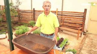 Hidroponia saiba como montar uma horta em qualquer espaço [upl. by Australia]