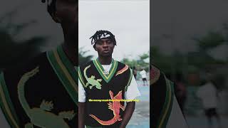 Jaido P X Chinko Ekun  MMD Money Must Drop Visualiser [upl. by Oloap]