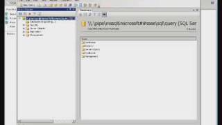 Introduction to SharePoint on SBS 2008  Part 2 [upl. by Carmina]