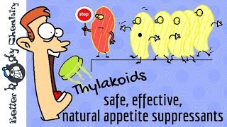 Thylakoids are a safe effective natural appetite suppressant [upl. by Siednarb]