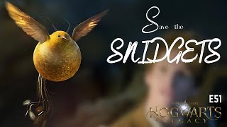 Help Save the Snidgets Plus Sundail Puzzle in Hogwarts Legacy E51 [upl. by Adlihtam]