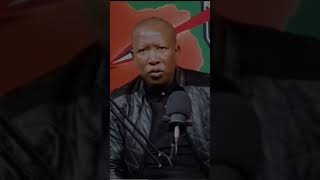 The Stellenbosch Mafia Julius Malema [upl. by Noiwtna]