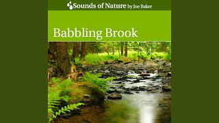 Babbling Brook [upl. by Alta]