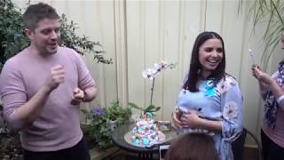 Baby Gender Reveal Party [upl. by Chubb]