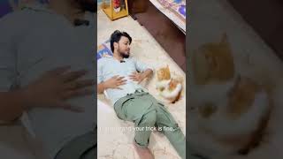 Malik yaar mere bacchon ko thandak wale kapde dila do 🤣🤣 Billu comedycatlovercatshorts subscribe [upl. by Libbi]