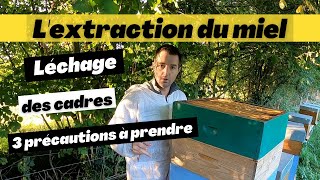 Comment faire lécher les cadres de hausses après lextraction  3 précautions à prendre [upl. by Tammy729]