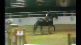 ASPCA Maclay Medal Finals  1985 1st round  Kristin Medall [upl. by Gwyn]