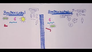 Difference between bacteriostatic and bactericidal drugs urduhindi [upl. by Luciana387]