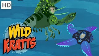 Wild Kratts  Discovering Wildlife at Sea [upl. by Libby]