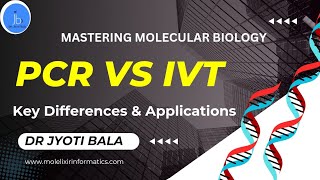 PCR vs In Vitro Transcription Differences and Applications Mastering Molecular Biology PCR vs IVT [upl. by Aileek803]