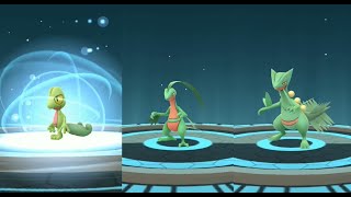 TREECKO evolves into GROVYLE and SCEPTILE in Pokemon GO  Trainer Ari [upl. by Aelrac163]