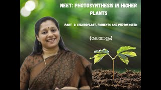 NEETPHOTOSYNTHESIS IN HIGHER PLANTS PART2MALAYALAM PIGMENTS CHLOROPLAST PHOTOSYSTEMS [upl. by Rabi]