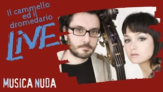 Musica Nuda  Il cammello ed il dromedario Live  Artè [upl. by Ynomrah]